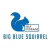 Big Blue Squirrel